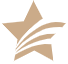鐳射黑色logo